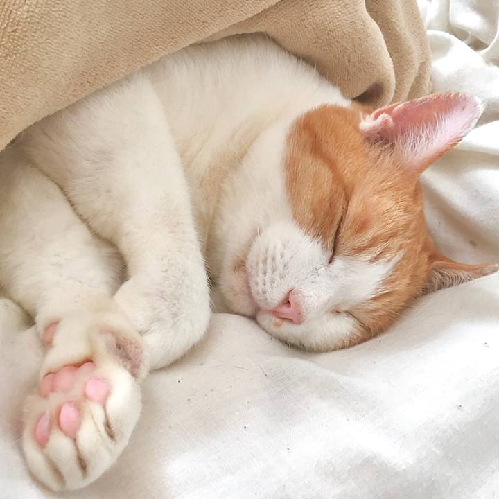 Fb660889 3fc1 4eb7 81ad c4dacb79ad35 1584419742611