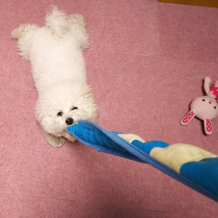 Fb661245 f395 459e b04e f416dcc13dd2 1515498635234