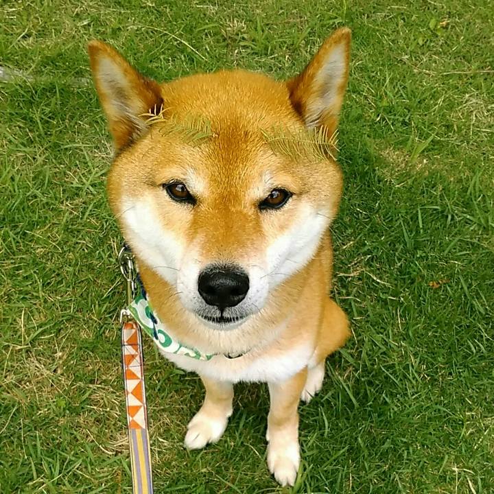 Fb6630c6 bef3 4c1a be02 82decac9cbf9 1560907335525