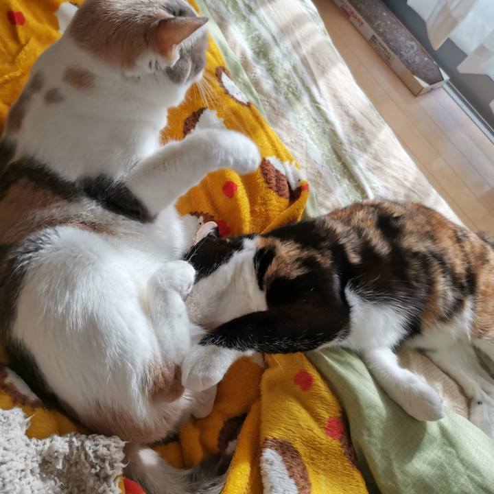 Fb663526 30e6 442b a7c3 af20df2c6699 1641784243107