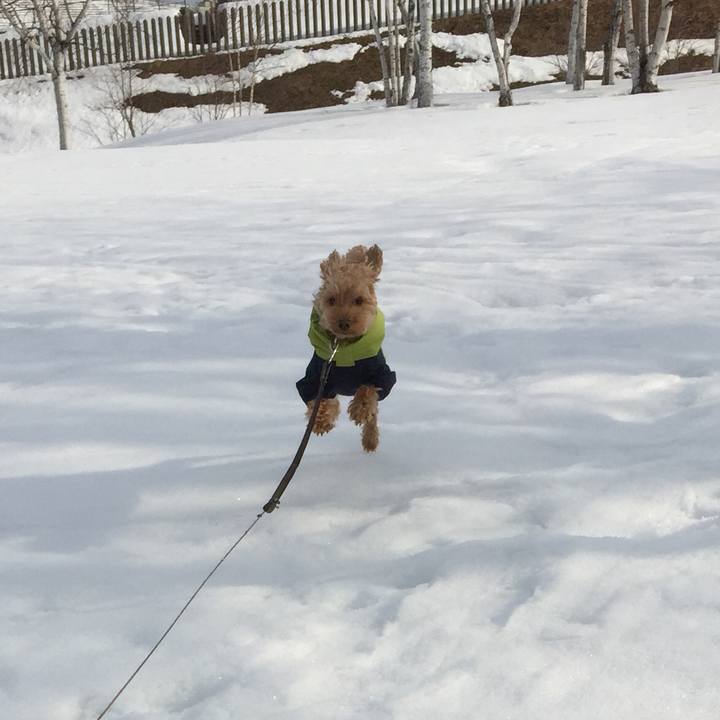 Fb663880 8910 4941 92a5 30d25a7e43d6 1523177245292