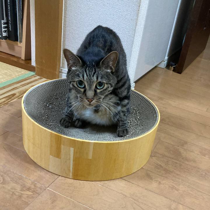 Fb667db5 e8a7 4d6f 88a9 1e23bf5cdf00 1751338036524