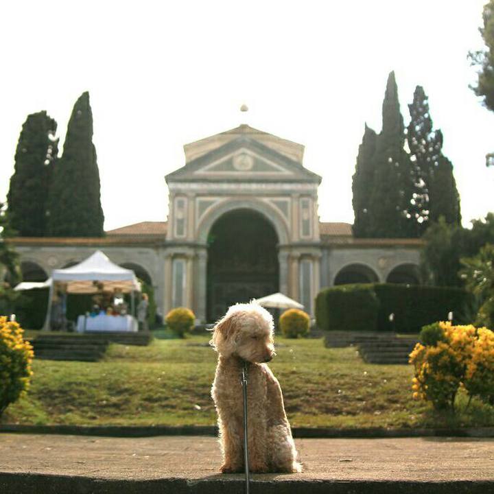 Fb66ab6c 6d35 4f95 808d 6ff668cb3f5e 1558292947002