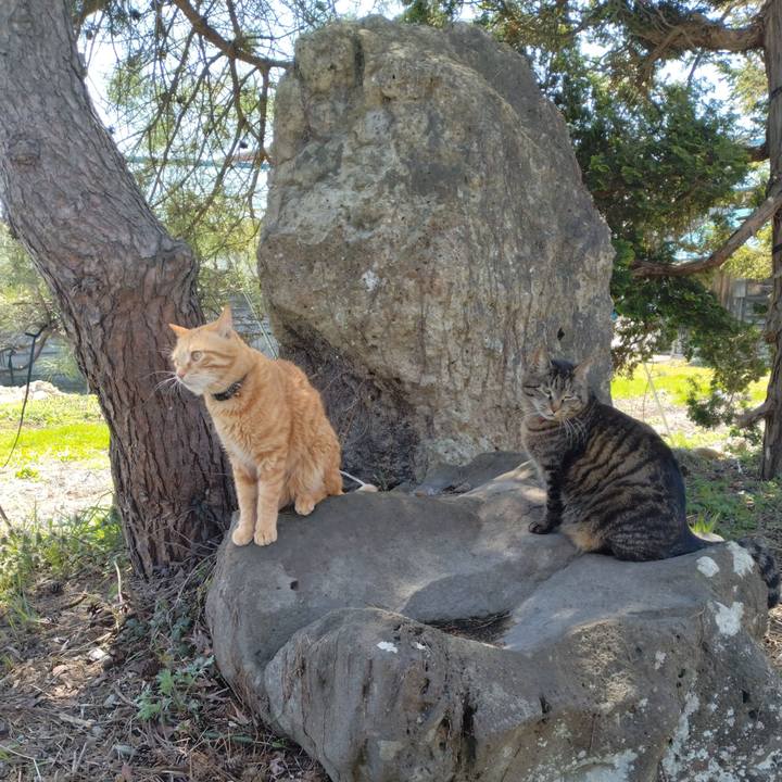 Fb66b5b5 243f 4db0 945b f9f48e152794 1681102656356