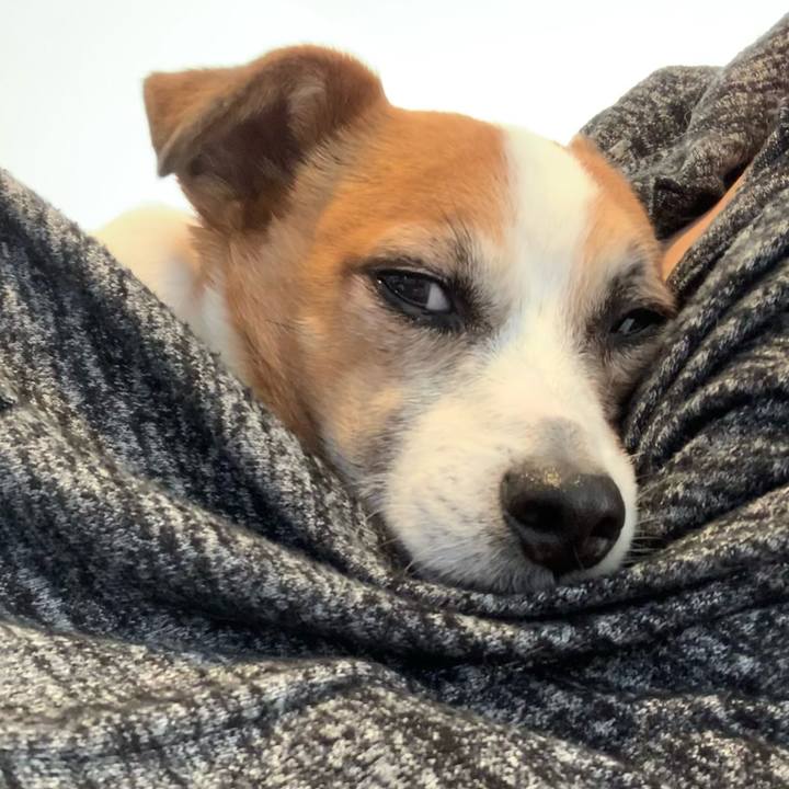 Fb66c6f8 8de9 4af8 8dc7 1d6035547956 1615790501378