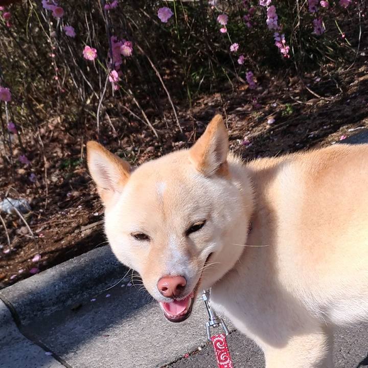 Fb66ca74 dc2f 4d69 a3f5 57d02e80221f 1520126008029