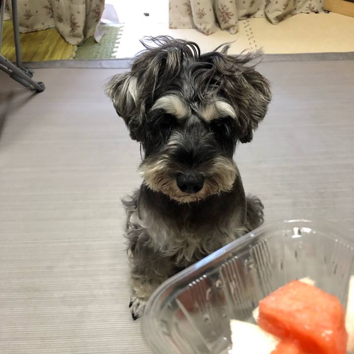 Fb66f548 0890 4c6e 8099 6f65cb53ad7a 1567904986662