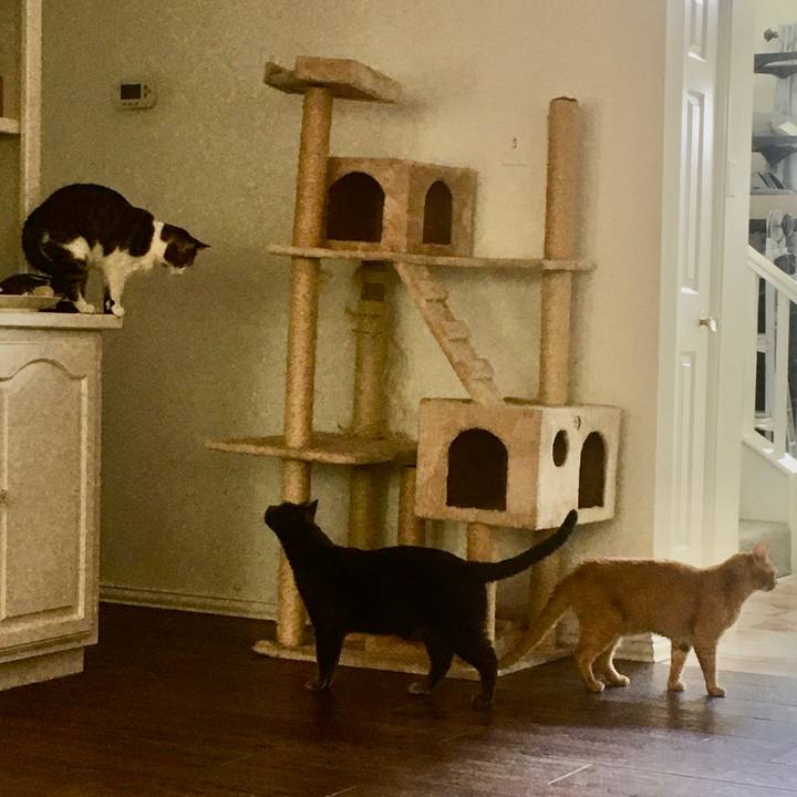 Fb6701b0 c99f 4602 808c a97c48162d46 1662509105692