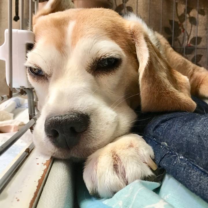 Fb671534 1f20 4b39 8175 0f8f4c79f5bc 1564717235957