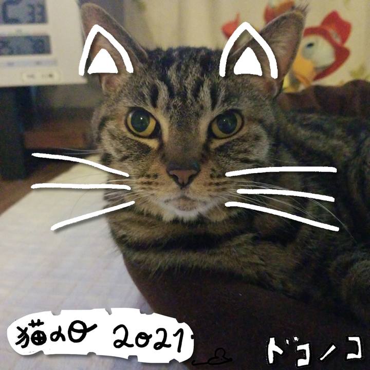 Fb672576 b8ed 4e86 9abd 8b0a641305fb 1614030761643