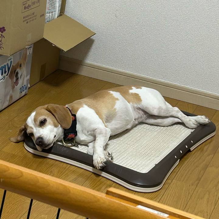 Fb6758bb c9f7 44f0 b8da 277ce830bc0d 1712221647978