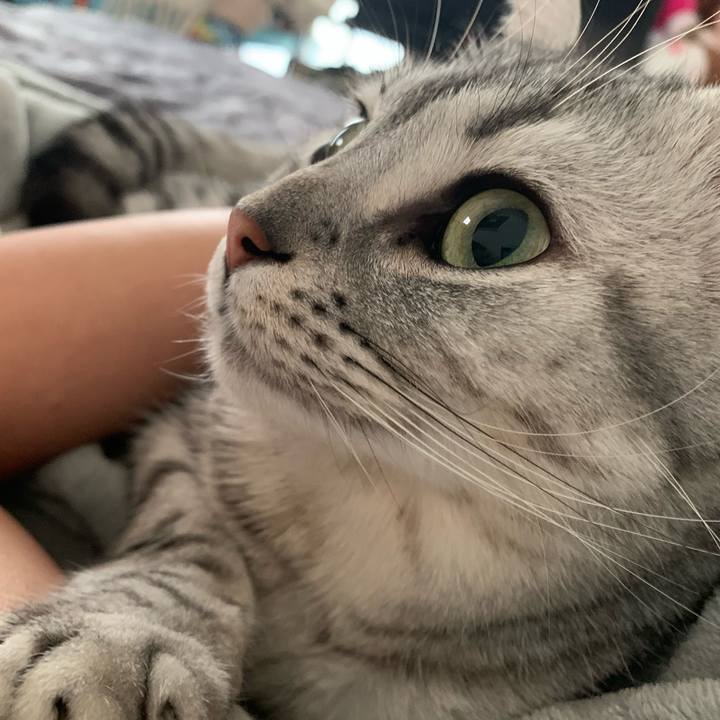 Fb67840b fd1c 47a8 b554 b4d83667a4ac 1621127160374