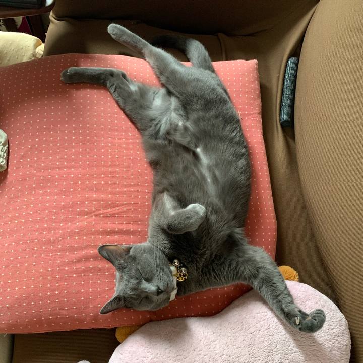 Fb67a628 7fb9 4578 ba9d 3c314341f28c 1632451931692