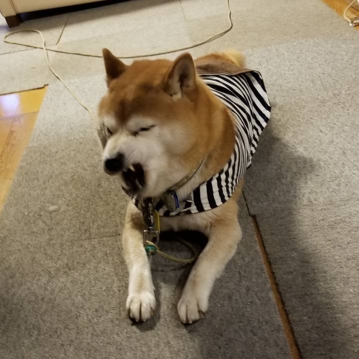 Fb67c1f9 807b 462d 9d61 8f014d8b98a1 1641980313742