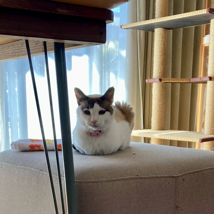 Fb67db40 beba 4566 8924 403094efd3a3 1677036018831