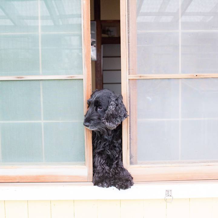 Fb67e5e4 77da 4154 877a 2fb81318551b 1551929778610