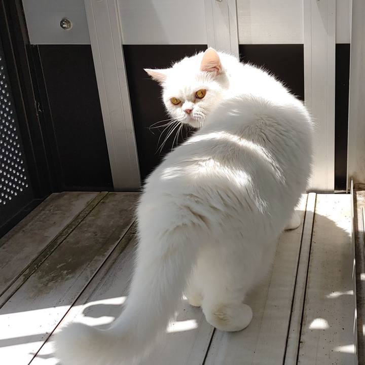 Fb680ba3 09b7 4f23 9d82 2de3015d8a56 1653186484630