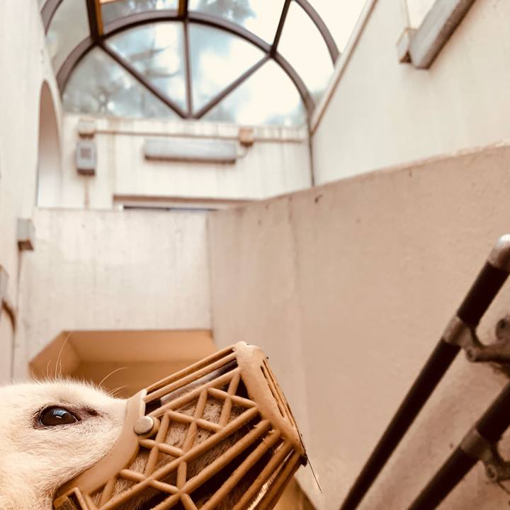 Fb68195a a8da 4f60 a729 e0741a13cdfe 1631136103541