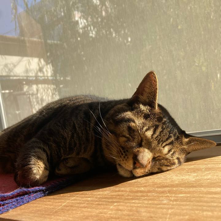 Fb6837f6 b405 43a6 8213 1caab4f9b142 1734581006472