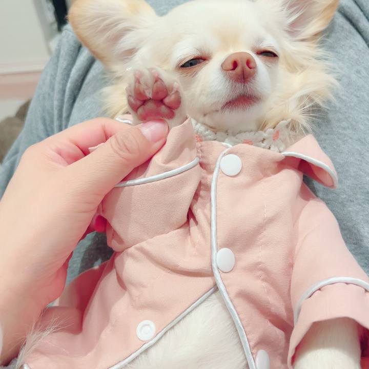 Fb684638 ed33 4800 a463 8a297cdc632b 1705328318312