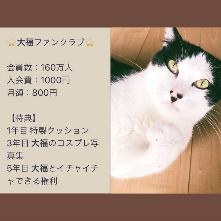 Fb684669 e46e 4a5b 83c8 2f02dd834022 1568735288482