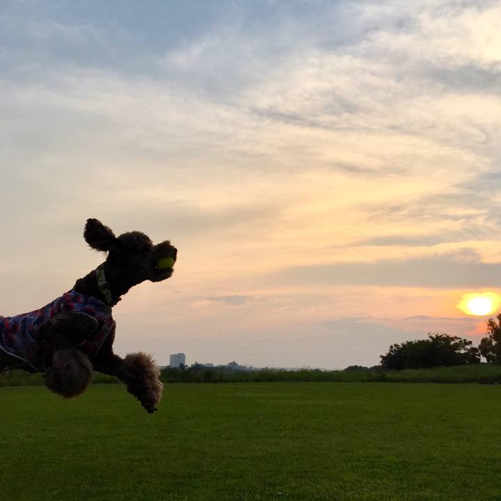 Fb68691a cb43 4a12 93e8 a6ec9b44d094 1531751860287