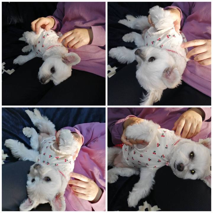 Fb68d27a 9e5f 45ec 9111 52ba0b479d40 1606442923107