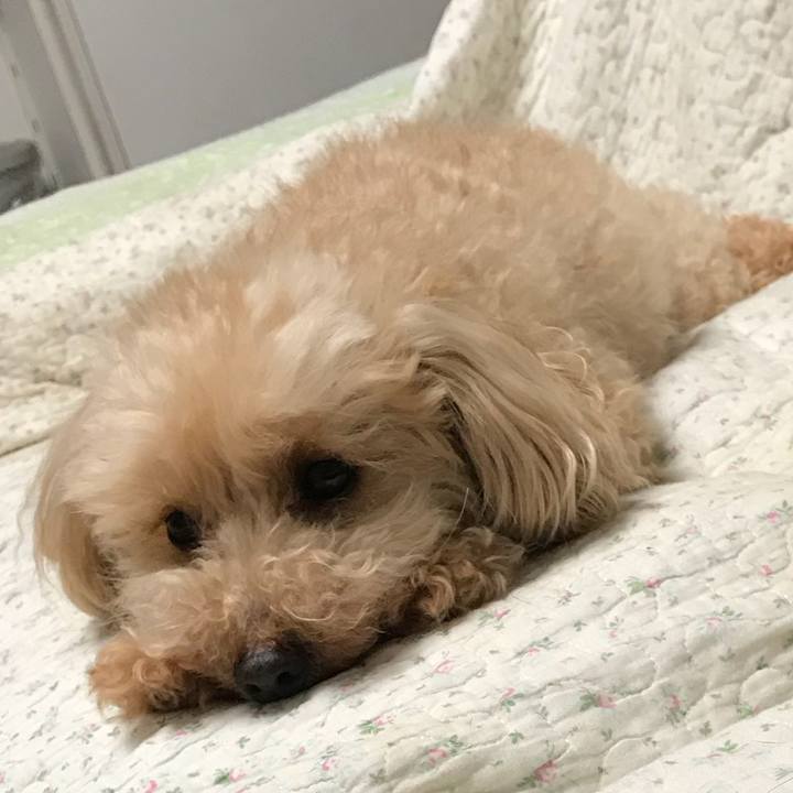 Fb690e58 cf51 4c32 9c89 30b84a40baf8 1528809268536