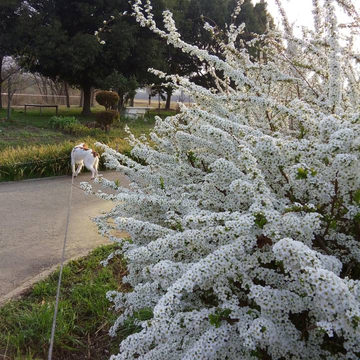 Fb691ae3 a13a 42ba af0f d884b8831df7 1522023231708