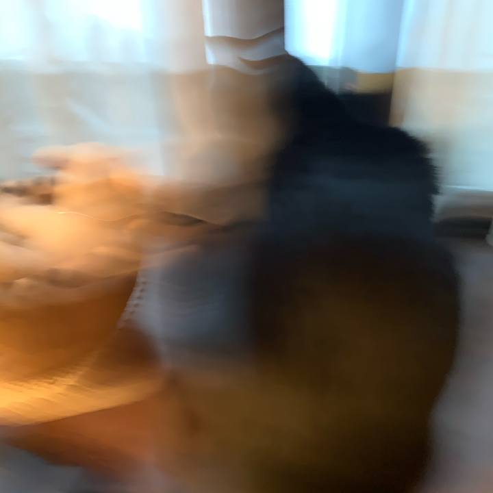 Fb693651 74dd 47e0 bdd8 7fa35804b286 1578606962020