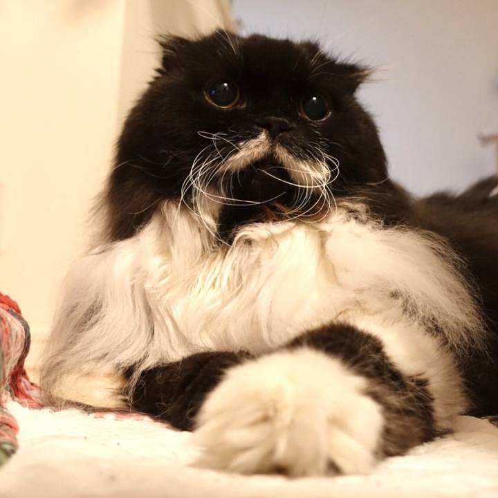 Fb696901 39d6 4218 b185 a850b033f70e 1527517972821