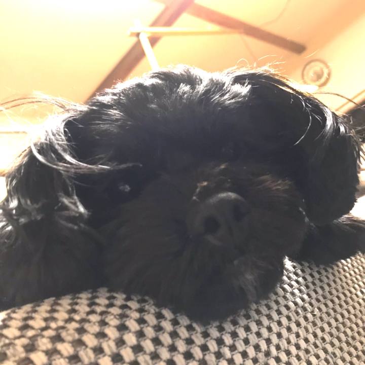 Fb69edcf a358 492e 80f8 97df2e743fe4 1544964895107