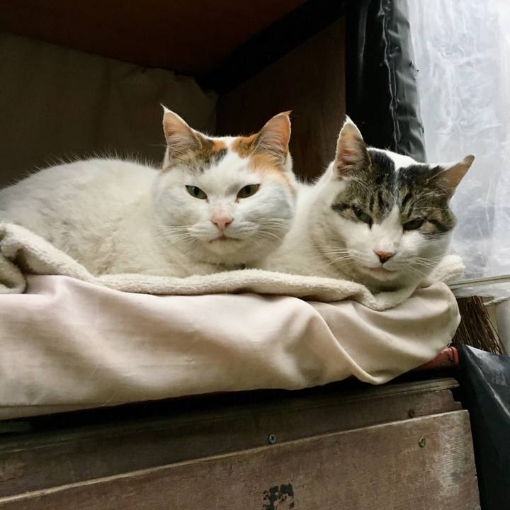 Fb6a18e7 8456 46a5 ba8f 49eaf691ce56 1519639117769