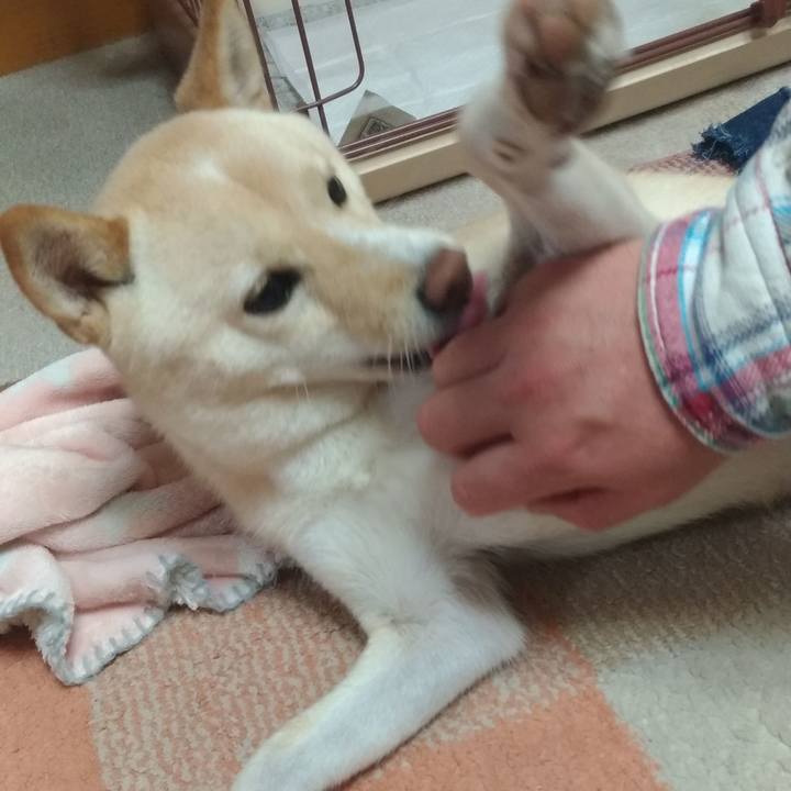 Fb6a1f10 f398 499e b89b 5ca6fa62d9e9 1574503909078