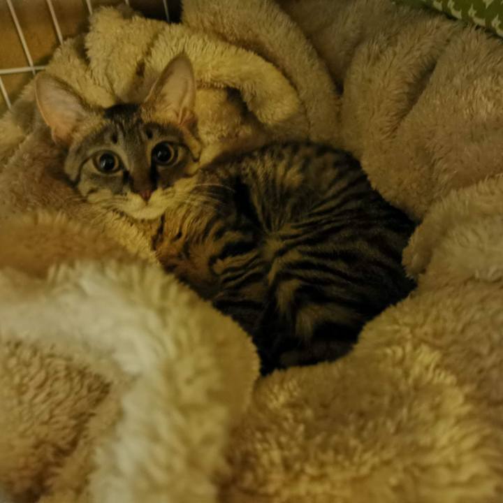 Fb6a2768 9486 482d bc7b 927ab8e0a94b 1702790395587