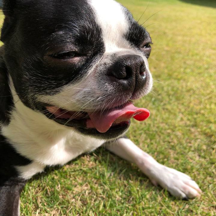 Fb6a2ec0 9fb1 45a5 a09f 094c9bcc0a86 1636080678764