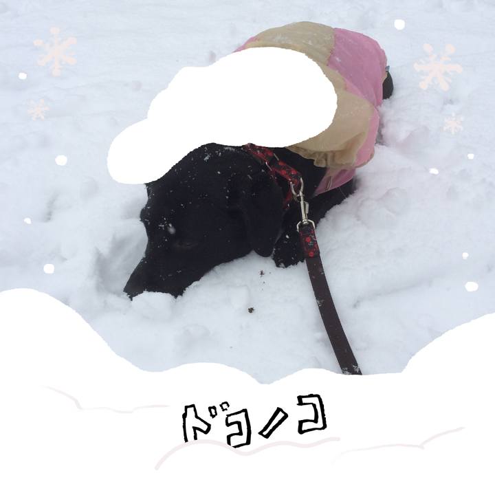 Fb6a508d cd88 4500 bdb9 fcbf809dd8e1 1772451918229