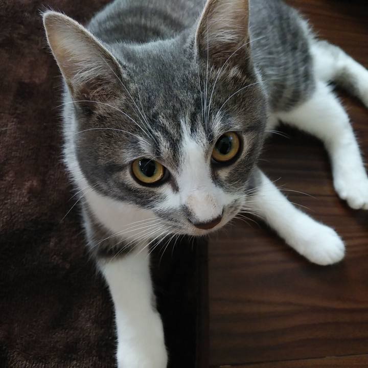 Fb6a6887 f5a1 4bfe ad45 14290adec119 1572735349321