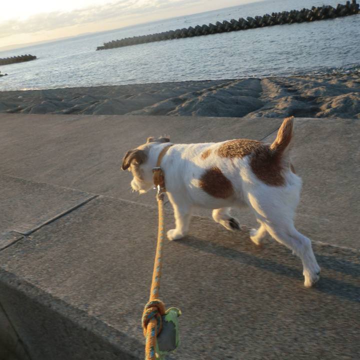 Fb6a794b 8d0f 4585 bf6c 22b4962e8fd7 1577621787335