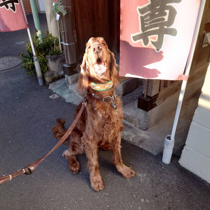 Fb6a8686 8ec8 4d2f 96dc aabb30e60383 1609421947570