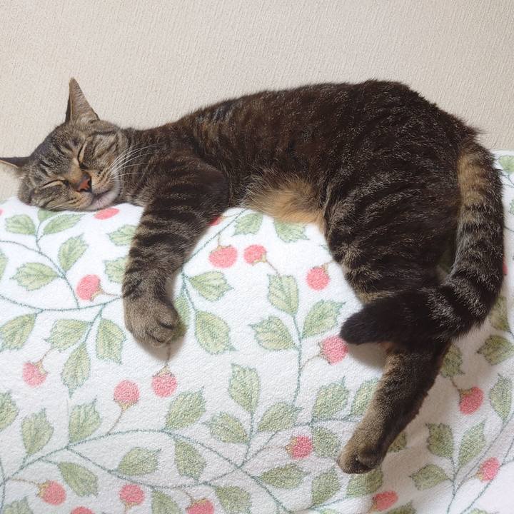 Fb6a8cc5 3fc5 4f5d ac23 37549c07d4a0 1623936251027