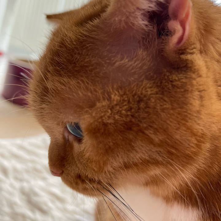 Fb6a8d4c fd63 4997 b18a 7287dfa3c616 1709993513227