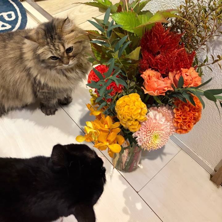 Fb6aa878 1c59 4877 b5d1 f8abd2d8adea 1760831707281