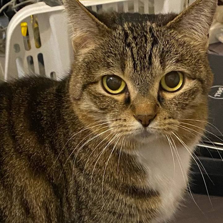 Fb6ad31b c032 4762 9f01 fe8ff6056e1a 1646404325576