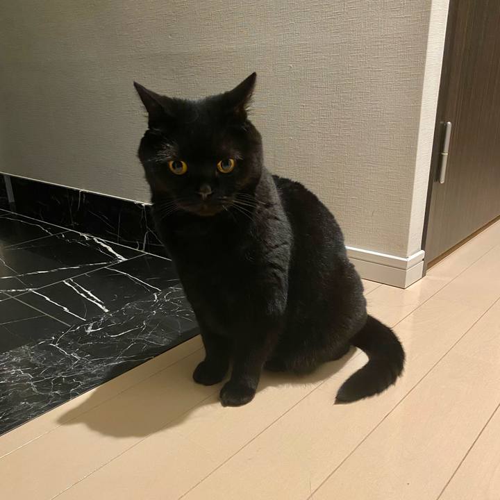 Fb6b32ac ba29 410b 85bb 2b2470e6515e 1687180805364