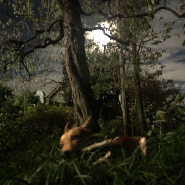 Fb6b60e7 3753 40b9 9a8a d3f49c840474 1570963786591