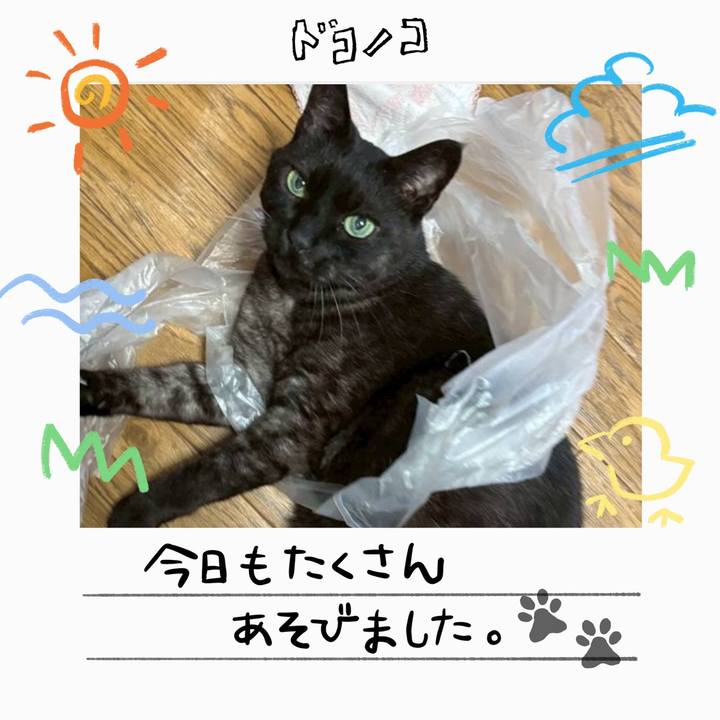 Fb6b7afa e86d 4b68 9e33 7557cf117d9e 1755465037401