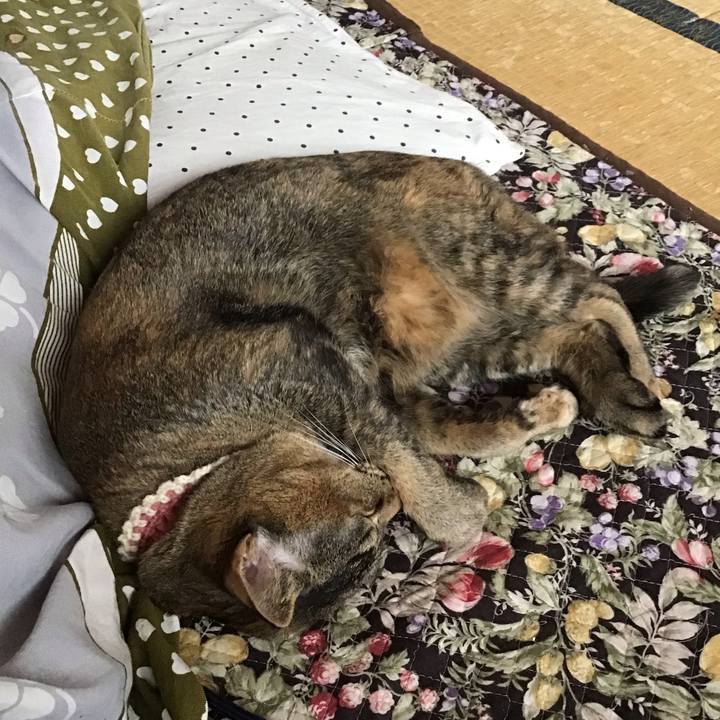 Fb6b7bb9 9495 4e9e b662 776539bbeb95 1650076825181