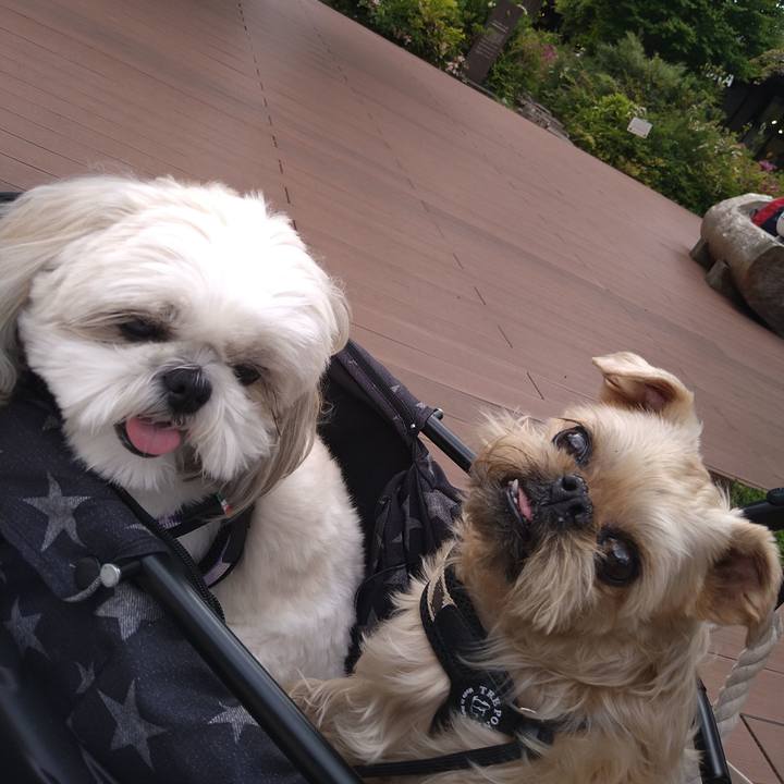 Fb6bffb5 61cd 4254 8a92 4256fd6a4740 1651918336274