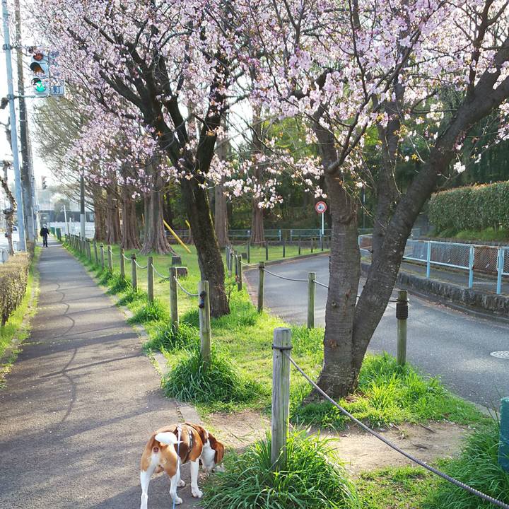 Fb6c1aa9 d2d2 4d7f a09e daf5cbf901ba 1522504931020